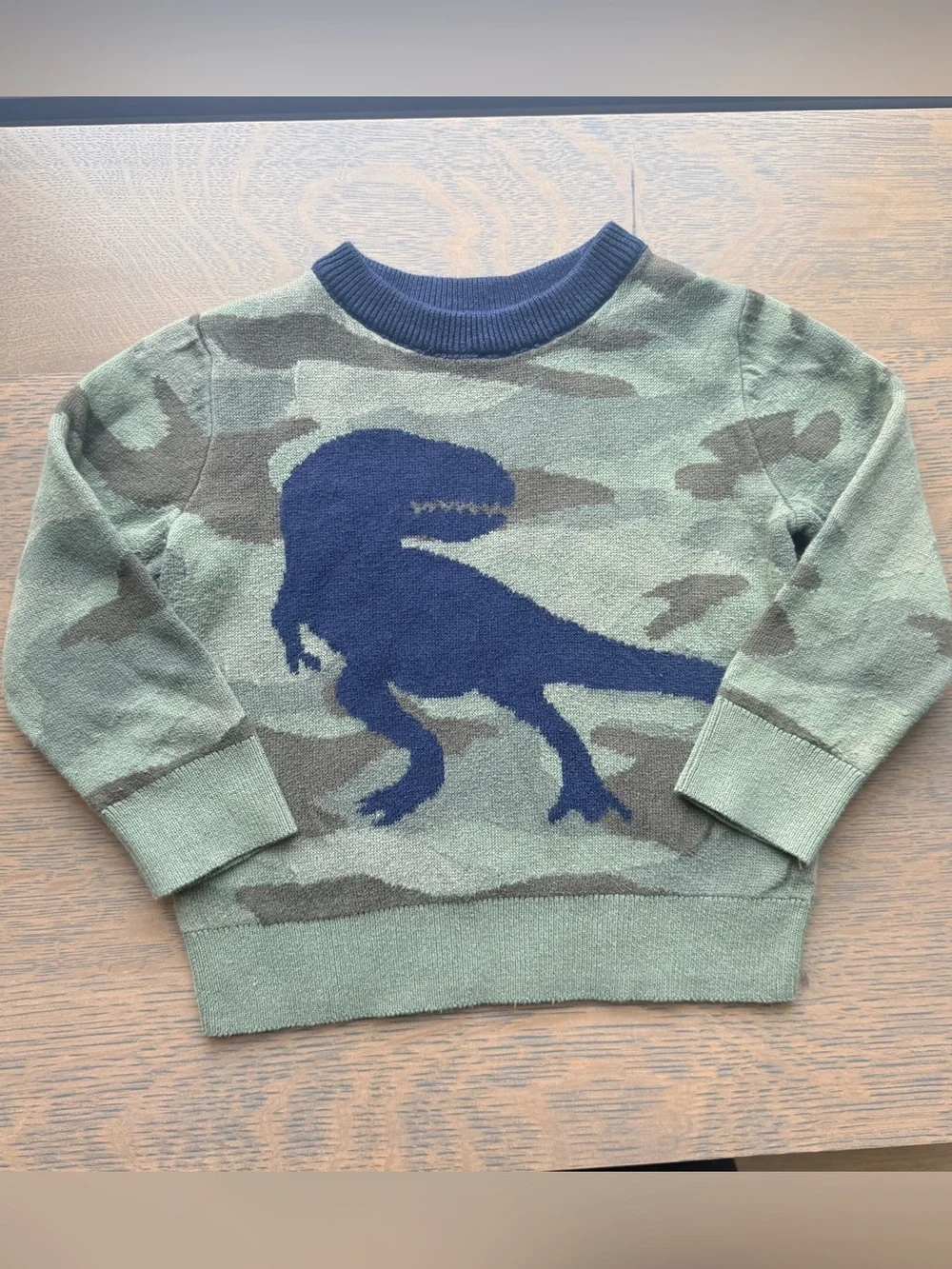 Gap Kids Dino Camo Crewneck Sweater - Green - Size 2T